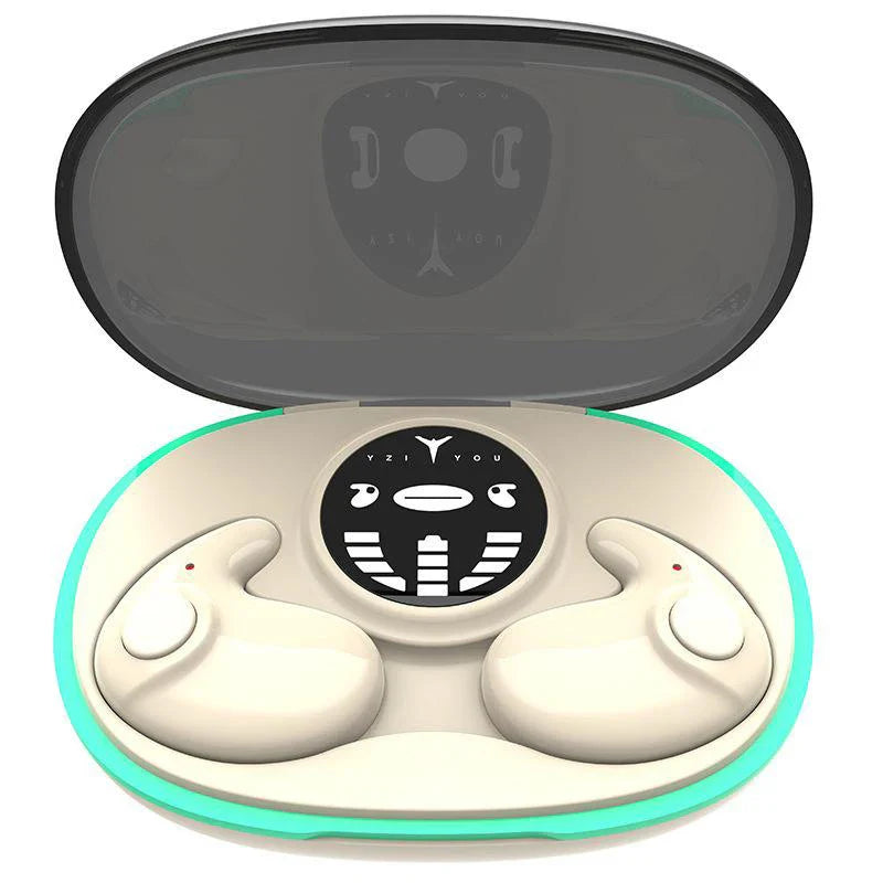 EchoBeats Earbuds