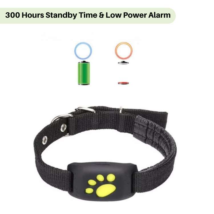 #1 Find  GPS Cat Tracker with Real-Time Location, Waterproof Design, and Activity Monitoring for Pet Safety and Tracking