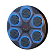 Shadow X Pro Boxing Trainer