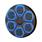 Shadow X Pro Boxing Trainer