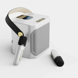 High Power Portable Bluetooth Karaoke Speaker with Rechargeable Battery for Outdoor and Indoor Use
