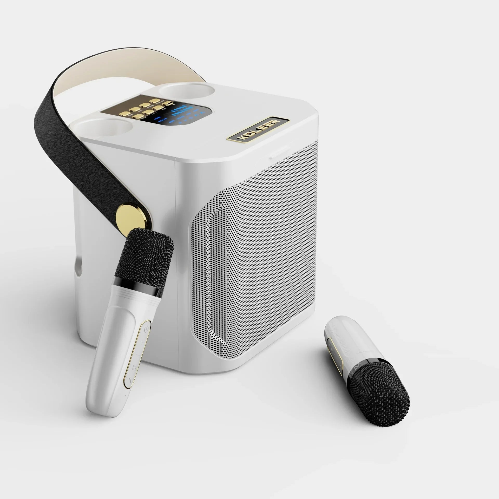 High Power Portable Bluetooth Karaoke Speaker with Rechargeable Battery for Outdoor and Indoor Use