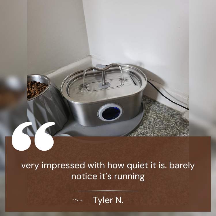 Cat Water Fountain | Silent Operation, Stainless Steel & Hygienic Design for Healthy Hydration