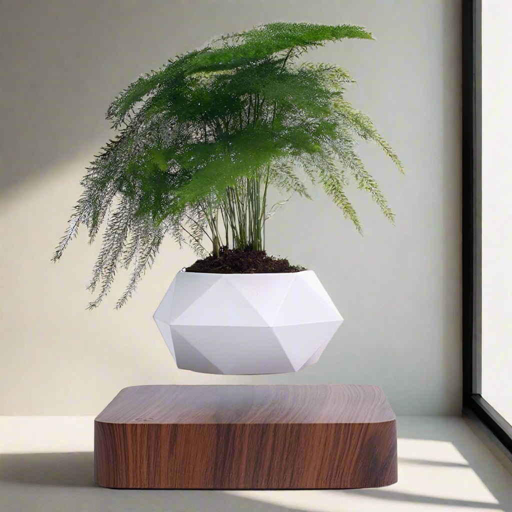 Magnetic Levitating Flower Pot with LED Light - Floating Planter for Home Decor & Unique Gifts