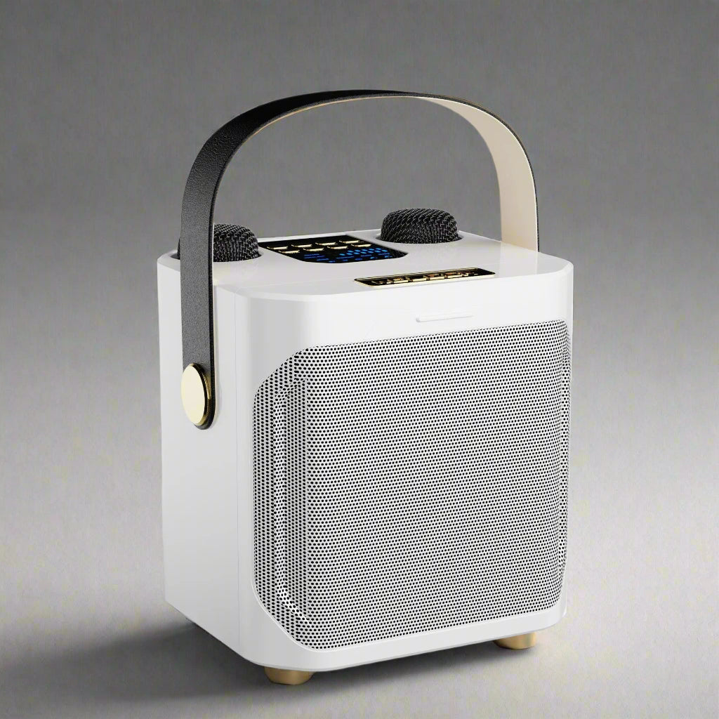 High Power Portable Bluetooth Karaoke Speaker with Rechargeable Battery for Outdoor and Indoor Use