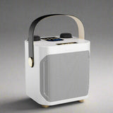 High Power Portable Bluetooth Karaoke Speaker with Rechargeable Battery for Outdoor and Indoor Use