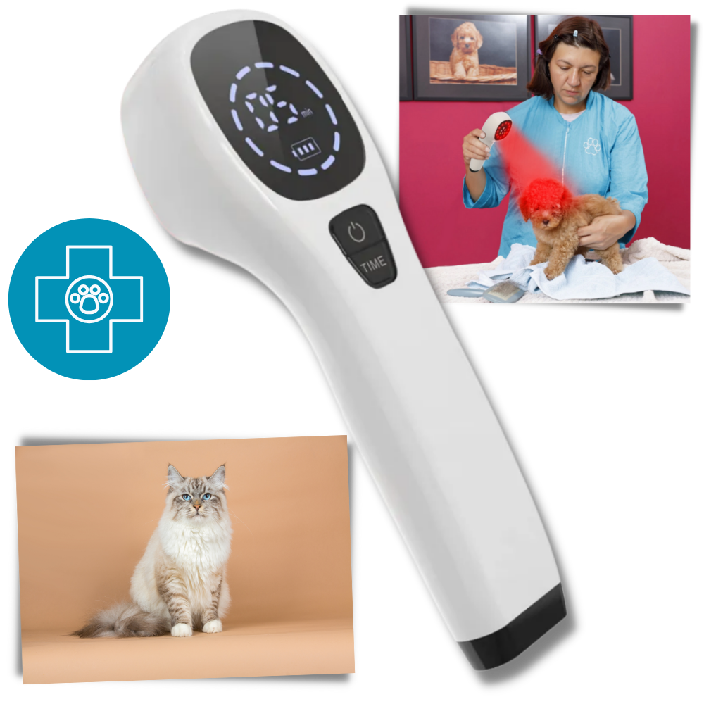 Advanced Laser Therapy for Dogs - Non-Invasive Pain Relief for Joint Pain, Arthritis & Wound Healing