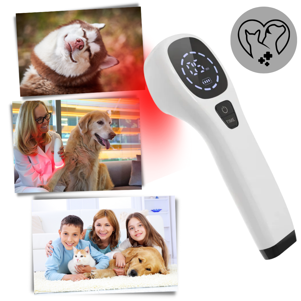 Advanced Laser Therapy for Dogs - Non-Invasive Pain Relief for Joint Pain, Arthritis & Wound Healing