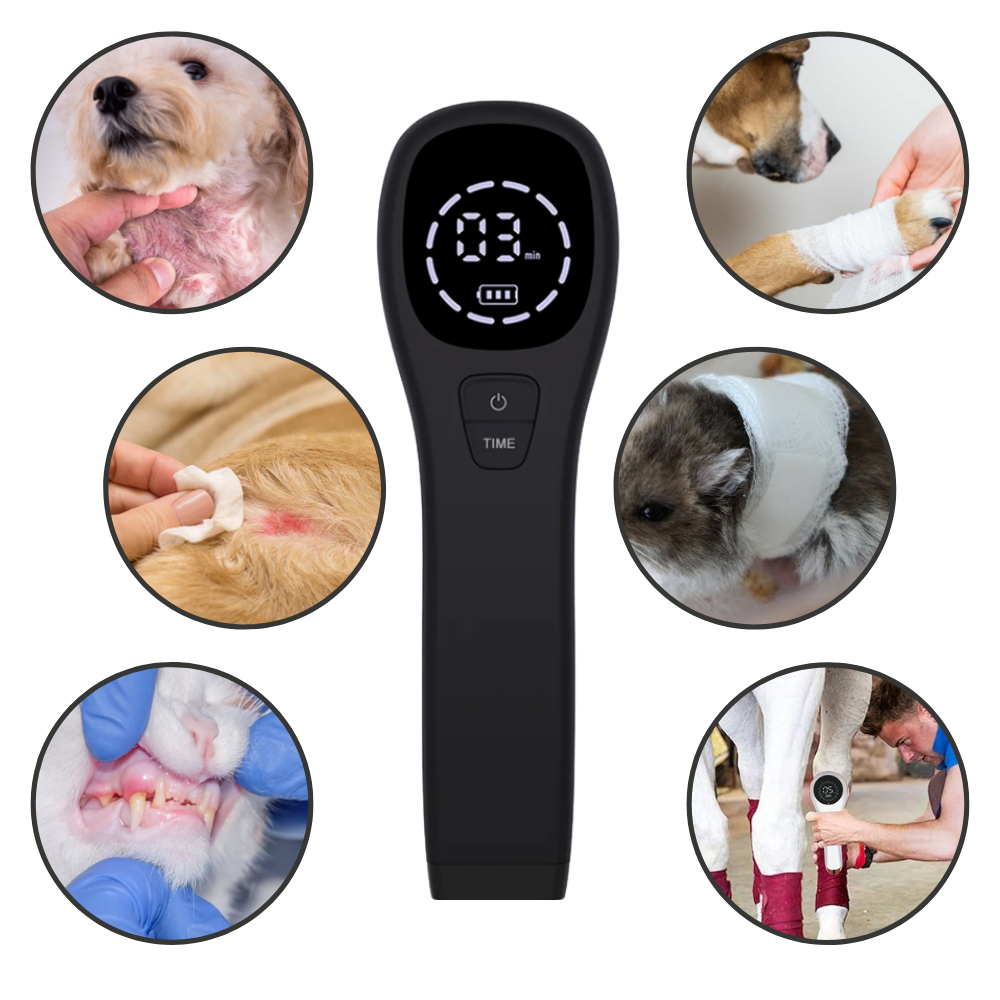 Advanced Laser Therapy for Dogs - Non-Invasive Pain Relief for Joint Pain, Arthritis & Wound Healing
