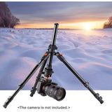 Camera Tripods – Lightweight Tripod for Phone and Camera, 187cm/73.6in, Great Travel Tripods