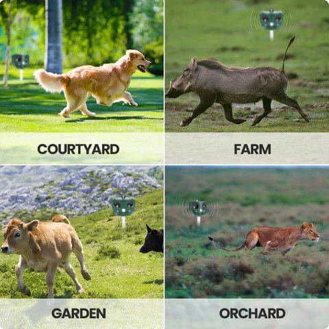 Bird & Animal Repellent - #2024 Upgraded Design Ultrasonic Repellent