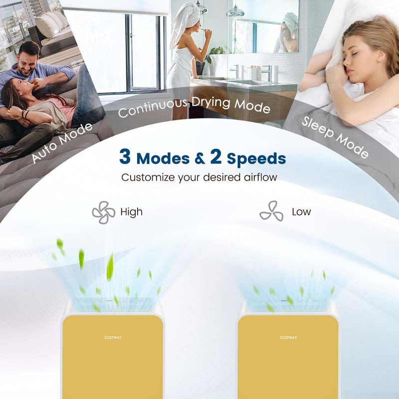 2500 Sq.Ft Dehumidifier for Basement, 32 Pints Portable Dehumidifier with Auto Defrost & Drain Hose, Sleep Mode, 24H Timer for Home Office