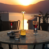 Modern Rechargeable Cordless LED Living Room Table Lamp