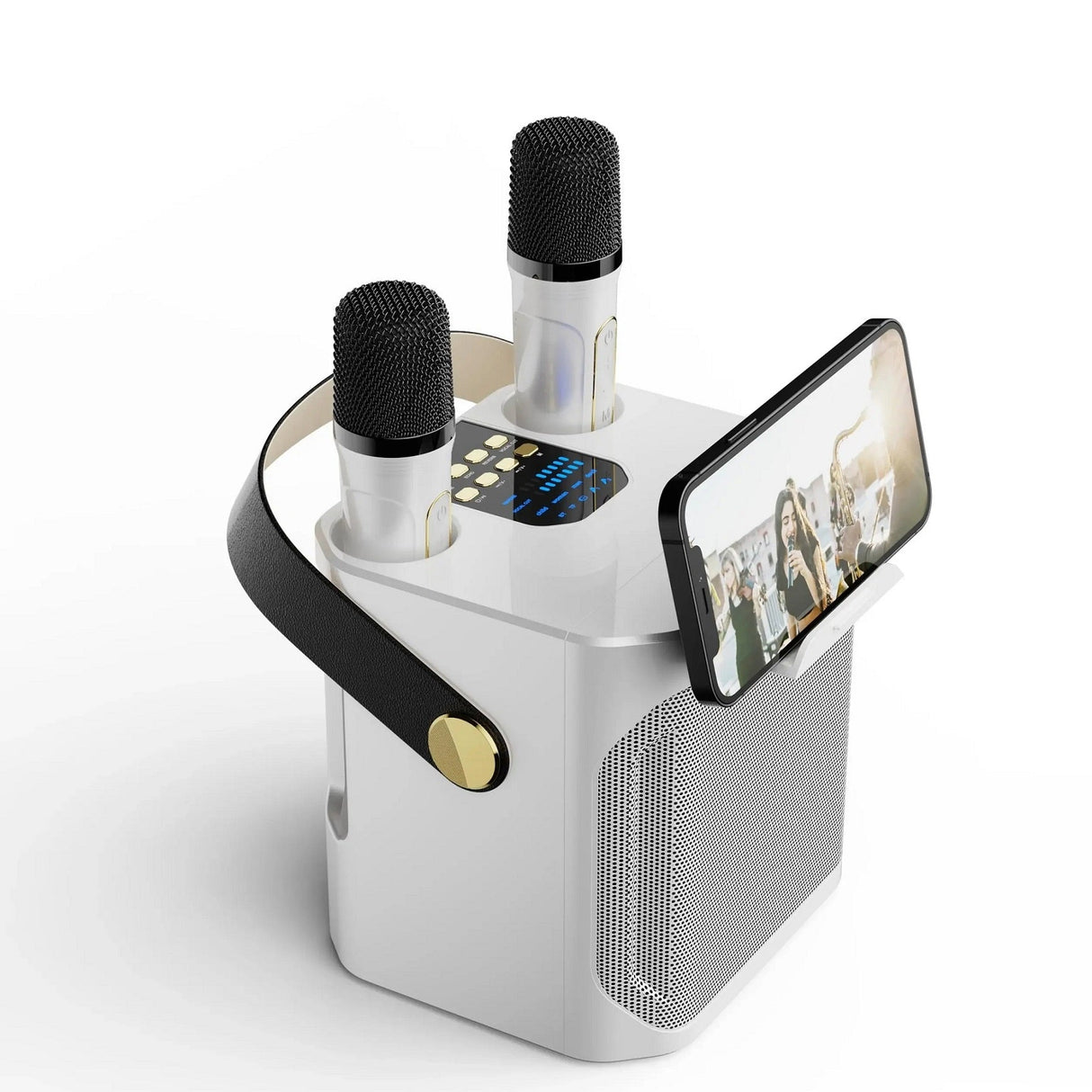 High Power Portable Bluetooth Karaoke Speaker with Rechargeable Battery for Outdoor and Indoor Use