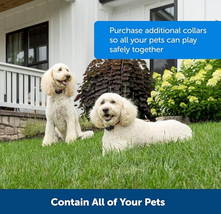 Wireless Dog Fence Collar System | Waterproof, Rechargeable & Ideal for Home Training and Outdoor Adventures